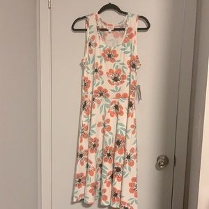 NWT Lularoe Nicki